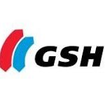 GSH Group